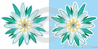 Noble white alpine edelweiss Vector Illustration